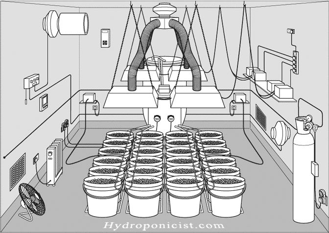 Hydroponics Grow Room